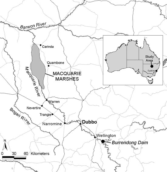 macquarie marshes map 