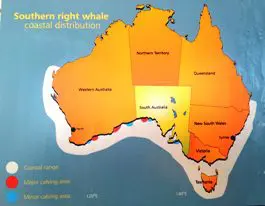 whale watching tour map whales-watching-tour-map