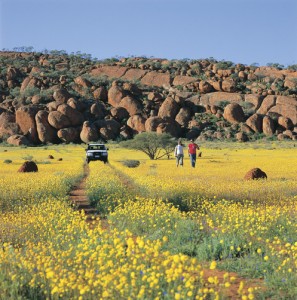 Western Australia Wildflowers Tours 
