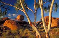 uluru kakadu tour 