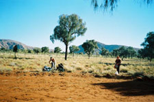 4WD Tours