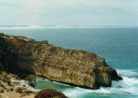 Head Great Australian Bight Whale Watch Tours