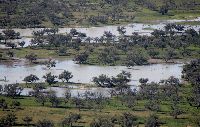 Lake Eyre Tours & Flights - Cooper Creek wetlands