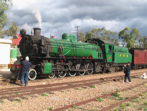 Pitchi Ritchie Railway - Old Ghan Railway tour 