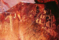 Dampier Burrup Rock Art Pilbara Tours