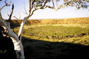 tanami track tours