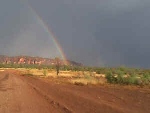 17_09_2005 5_20 PM_0003.jpg (20701 bytes)