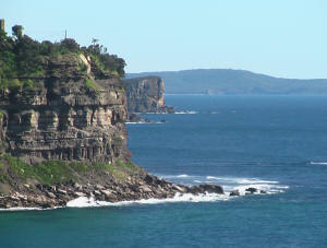 sydney day tours beaches 