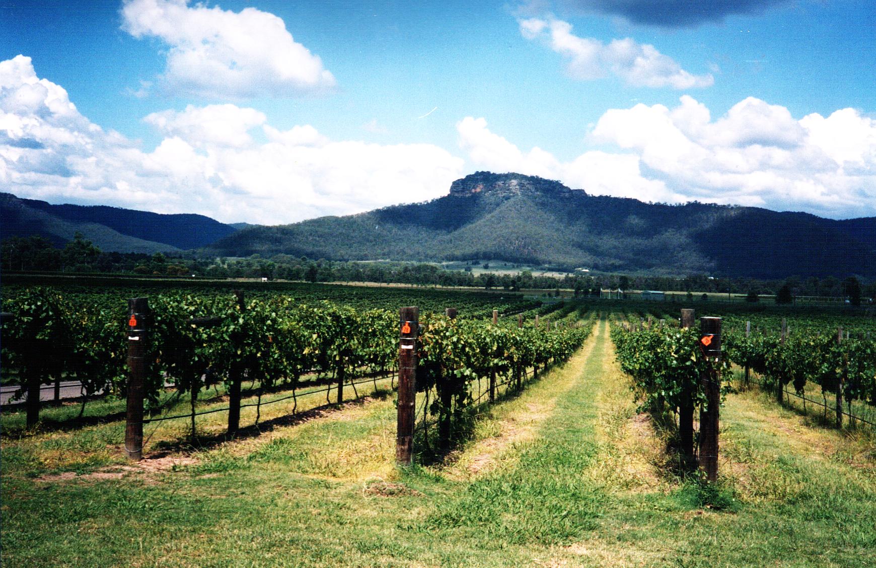 hunter valley tours from nelson bay