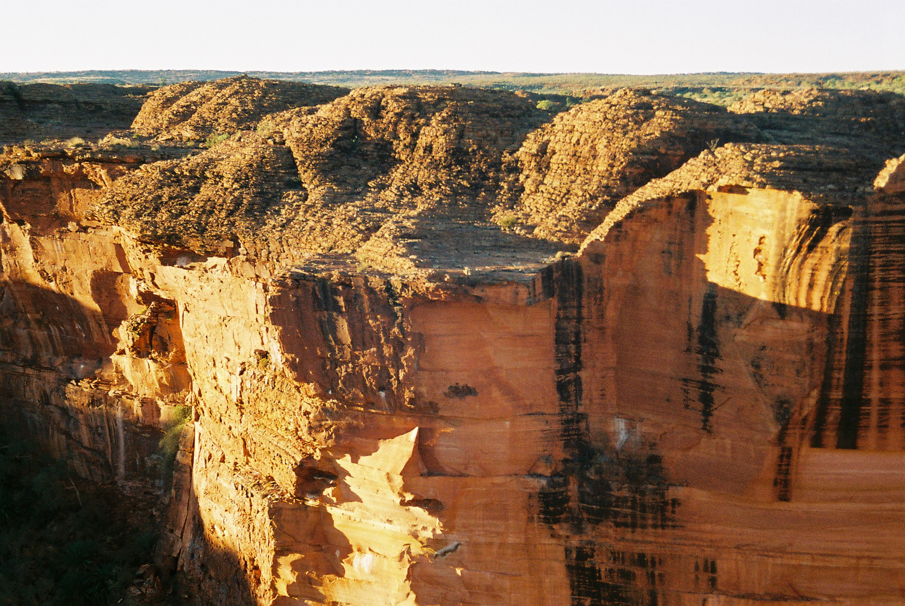 Kings Canyon MacDonnell Rages Tours 