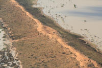 Big Red Simpson Desert