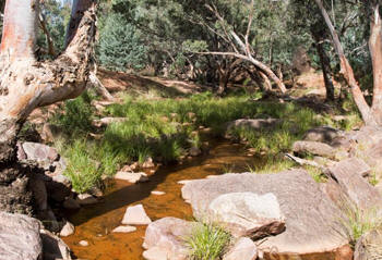 Gundabooka National Park