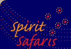 Spirit Safaris
