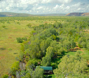 Mornington Wilderness sanctuary