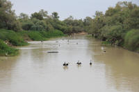 Diamantina River at Birdsville Corner Country Tours