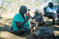 Bush Elder