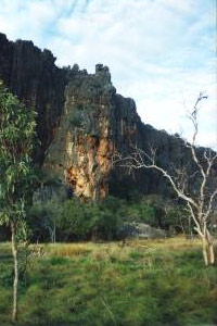 Kimberley Darwin to Broome via Mitchell Falls Tours 13 days 