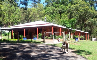 Hunter Valley Farm Stay