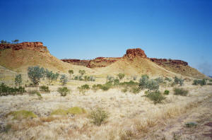 tanami track tours