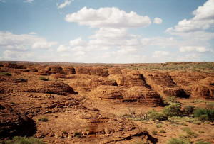 Kings Canyon "Native Cats" MacDonnell Ranges Tour