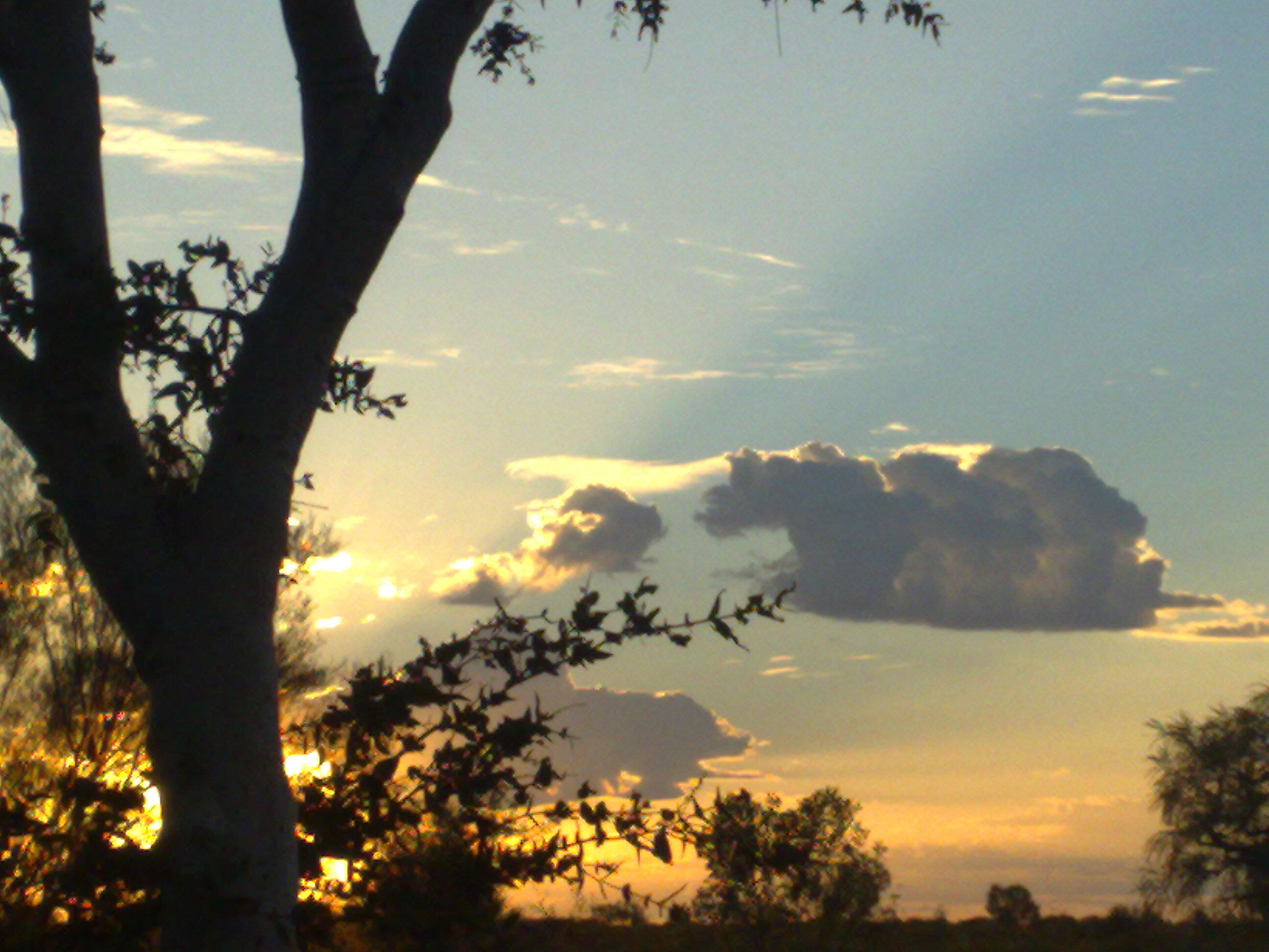 tanami Track tour desert sunrise