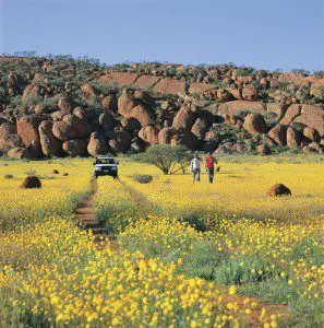 Western Australia Wildflowers Tours