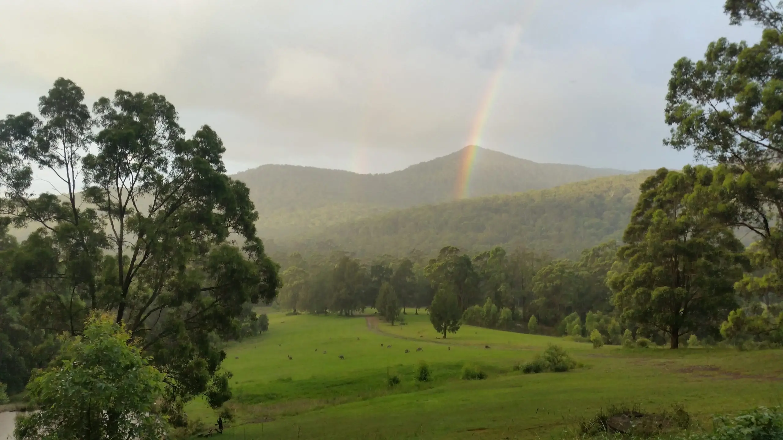 Are you an Earth Carer, Nature Lover or Vision Quester challenge