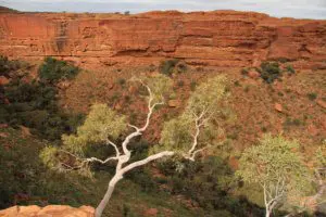uluru kakadu darwin tour