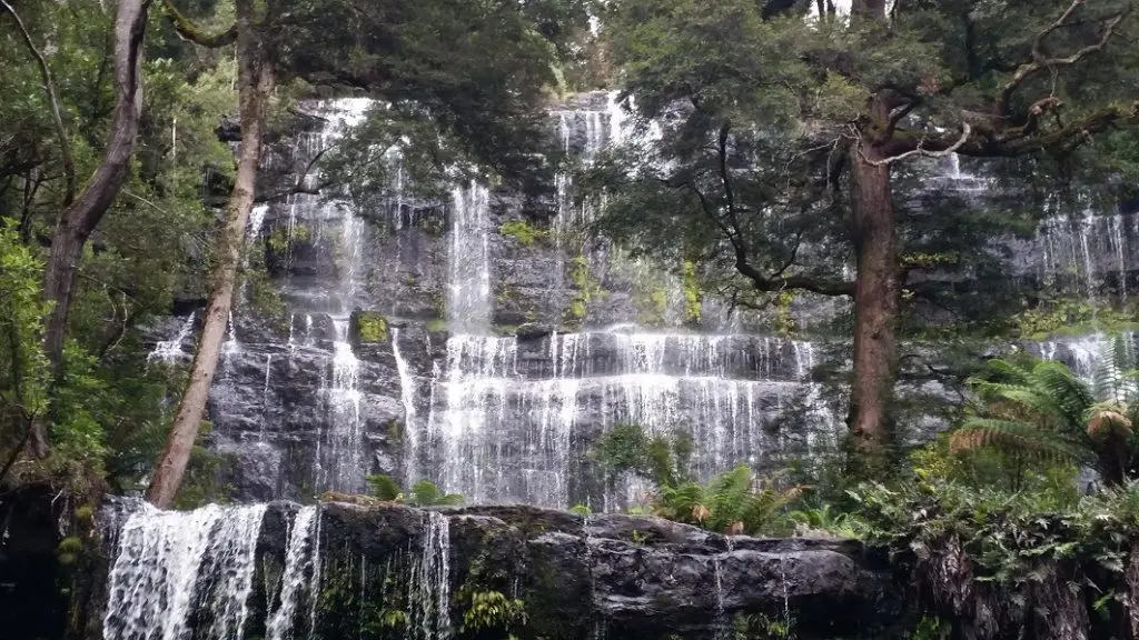Tasmanian Wilderness Explorer 4WD Tours Russell Falls