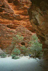 Bungle Bungles Kimberely Tours 2