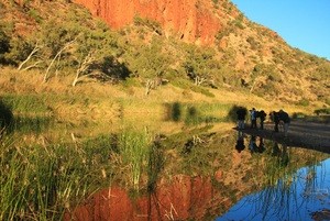 Glen Helen MacDonnell Ranges Kings Canyon Tour from Uluru Ayers Rock