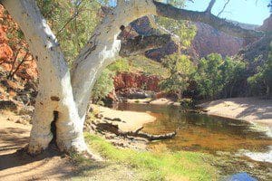 Journey to Clarity Ormiston Gorge MacDonnell Ranges 