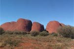 western desert tour