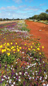 Day 3 - Canna & Morawa - Yalgoo Rd (60)