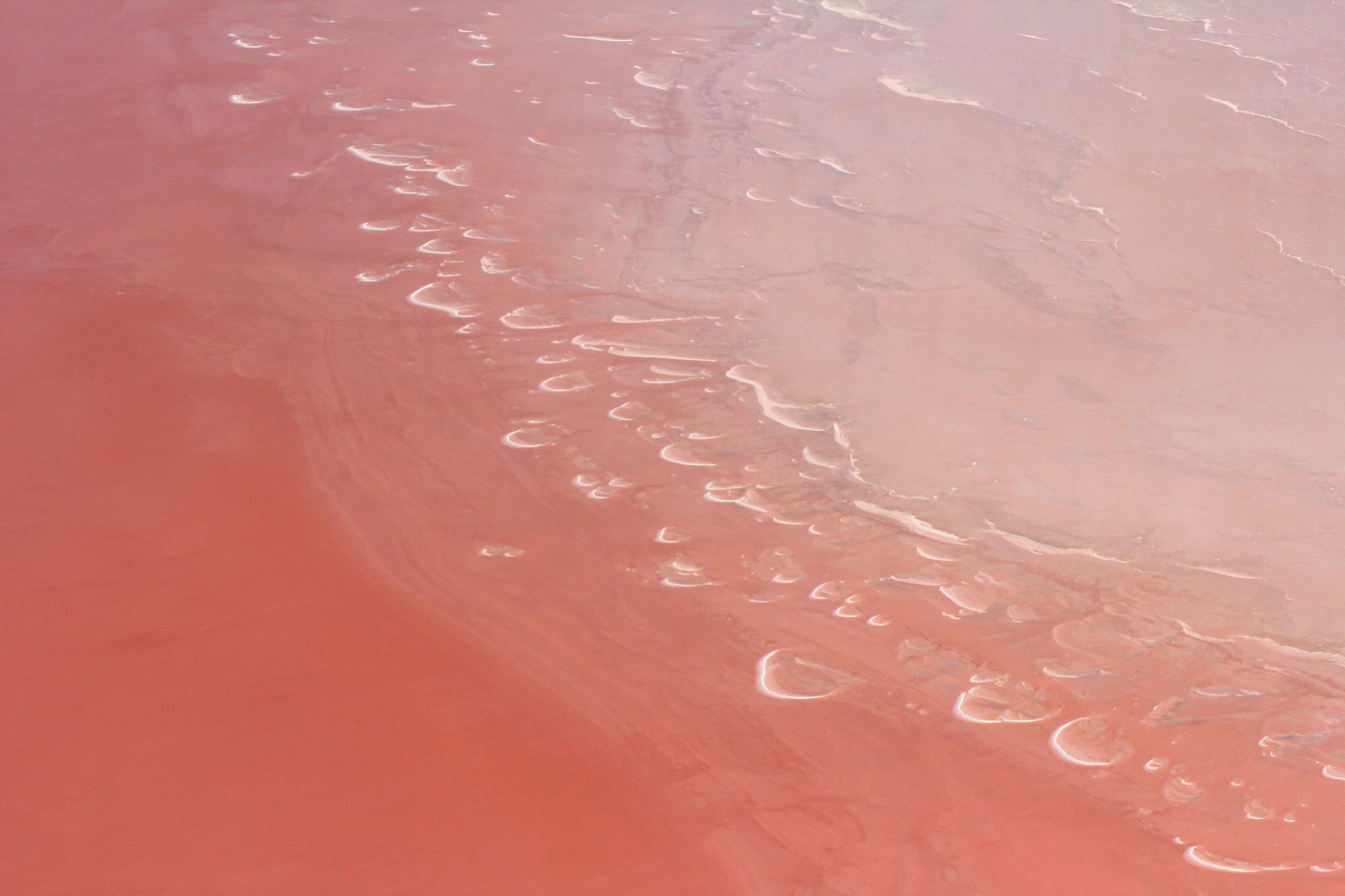 Lake Eyre Tours and Flights November 2019