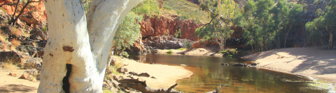 Img_8808-Ormsiton-Long