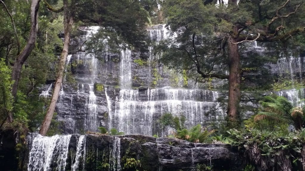 Tasmanian Wilderness Explorer 4WD Tours Russell Falls