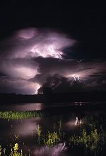 Kakadu Wet Season Rivers Tour