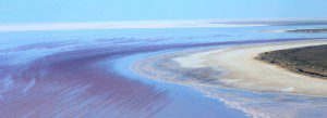 Lake Eyre water