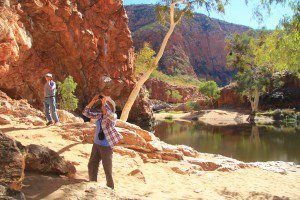 macdonnell-ranges-ormistonIMG_8815