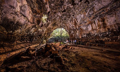 Undara Volcanic National Park Tour Cairns to Darwin