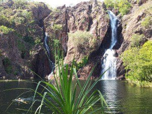 wangi-falls-litchfield