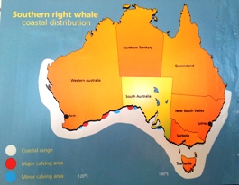 whales-watching-tour-map